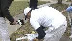 [Lee Anthony rips down memorial for Caylee Anthony 12/15/2008 www.wftv.com]
