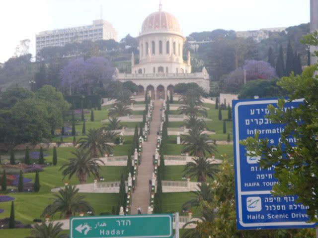 DSCF1239.jpg