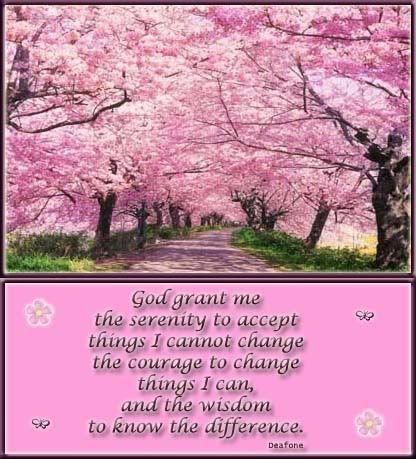 funny serenity prayer. Pinkserenityprayer