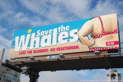 peta-save-the-whales.jpg