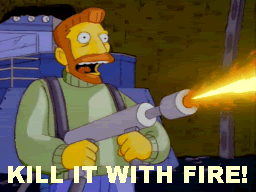 kill_it_with_fire.gif Kill it with fire! image by Mitrofang