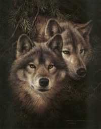 Wolves 1