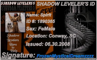 Shadow Leveler