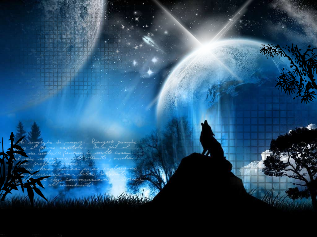 wolf.png Wolf image by hephilia wolf.png Wolf image by hephilia
