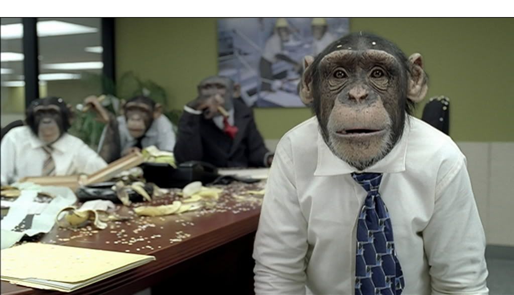 Chimp Office