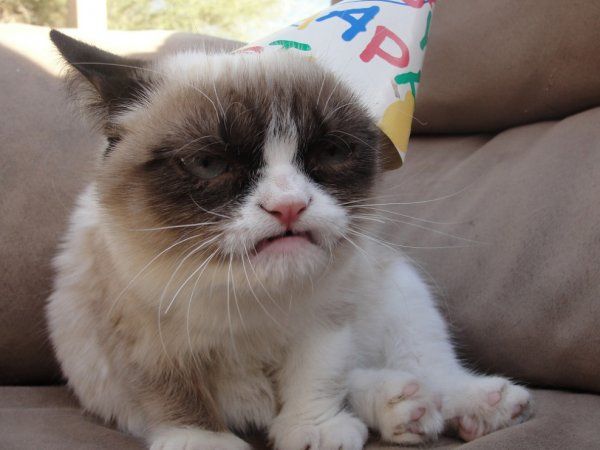photo grumpy_cat_hates_birthdays_16883_zpsf1c3630e.jpg