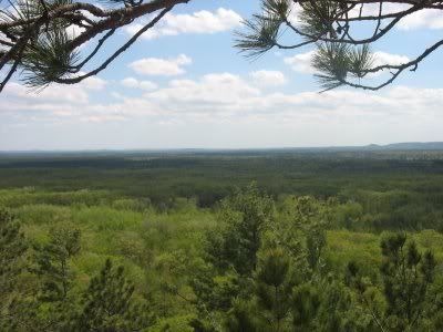 levis mound view