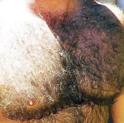THIckchestfur.jpg