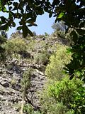 escalada