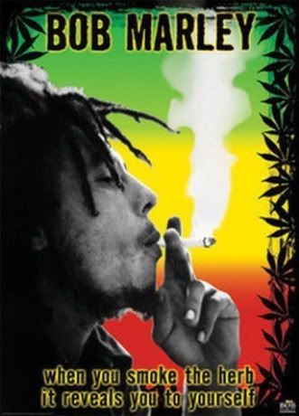 bob marly similitude