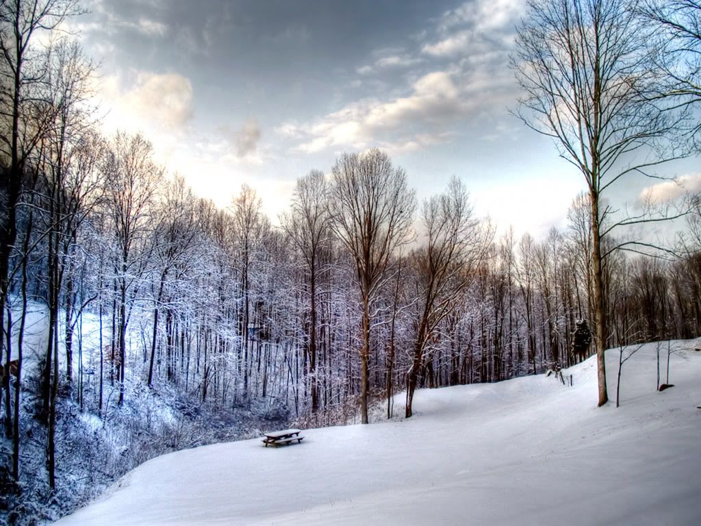 wallcoo_com_winter_Travel_winter_00.jpg