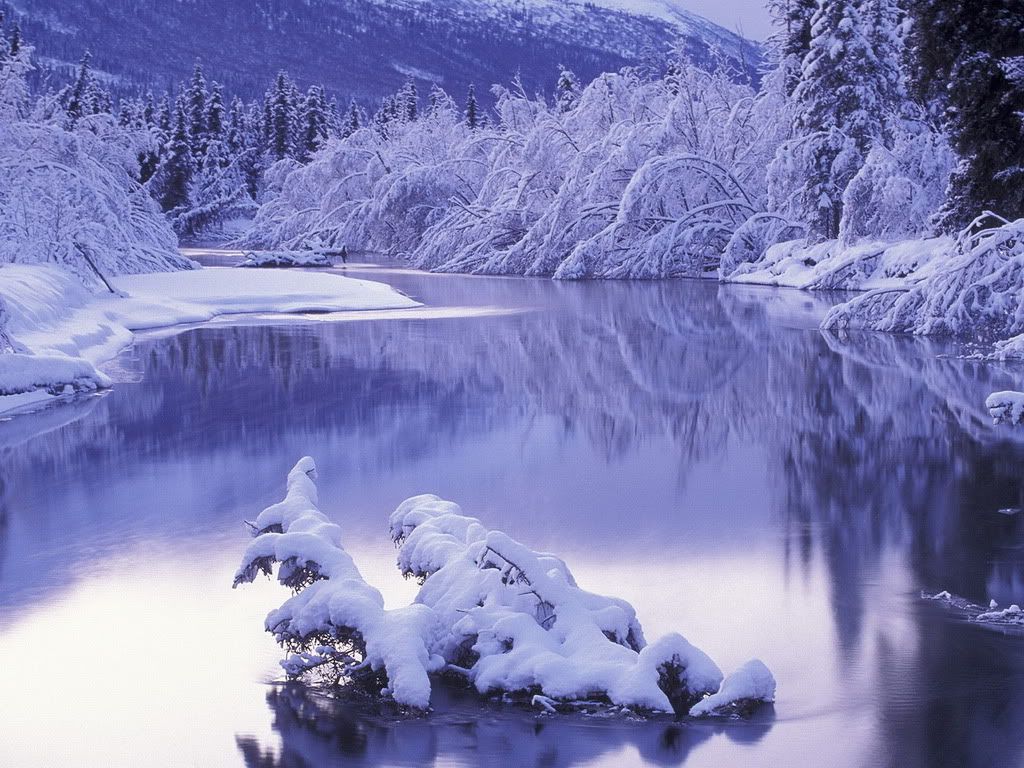 winter_wallpaper_47.jpg