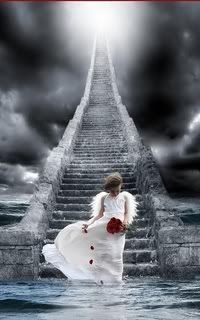 Stairway to heaven Pictures, Images and Photos