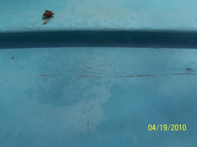 HyRiderboat004.jpg