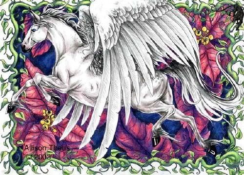 1-web-1.jpg Pegas image by chetterbox1992