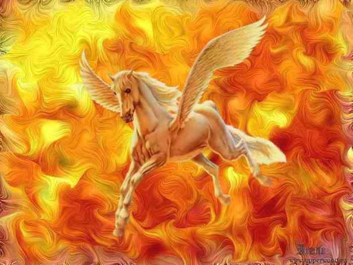 15664587_01.jpg Pegas image by chetterbox1992