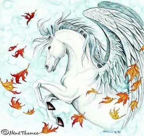 67bd52f243c4.jpg Autumn Pegas image by chetterbox1992