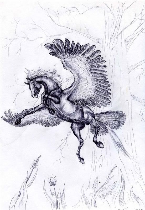 a1536d61.jpg Pegas image by chetterbox1992