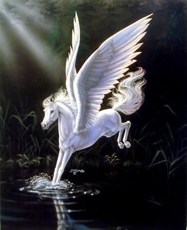 ddba7d3d.jpg Pegas image by chetterbox1992