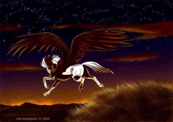 e3cf230c.jpg Pegas image by chetterbox1992