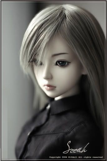 second hand bjd dolls for sale