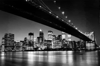 New-York-New-York-Manhattan-Skyline.gif image by glitterhoney