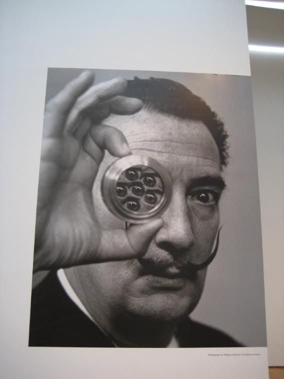 Dali @ the MoMa in NYC
