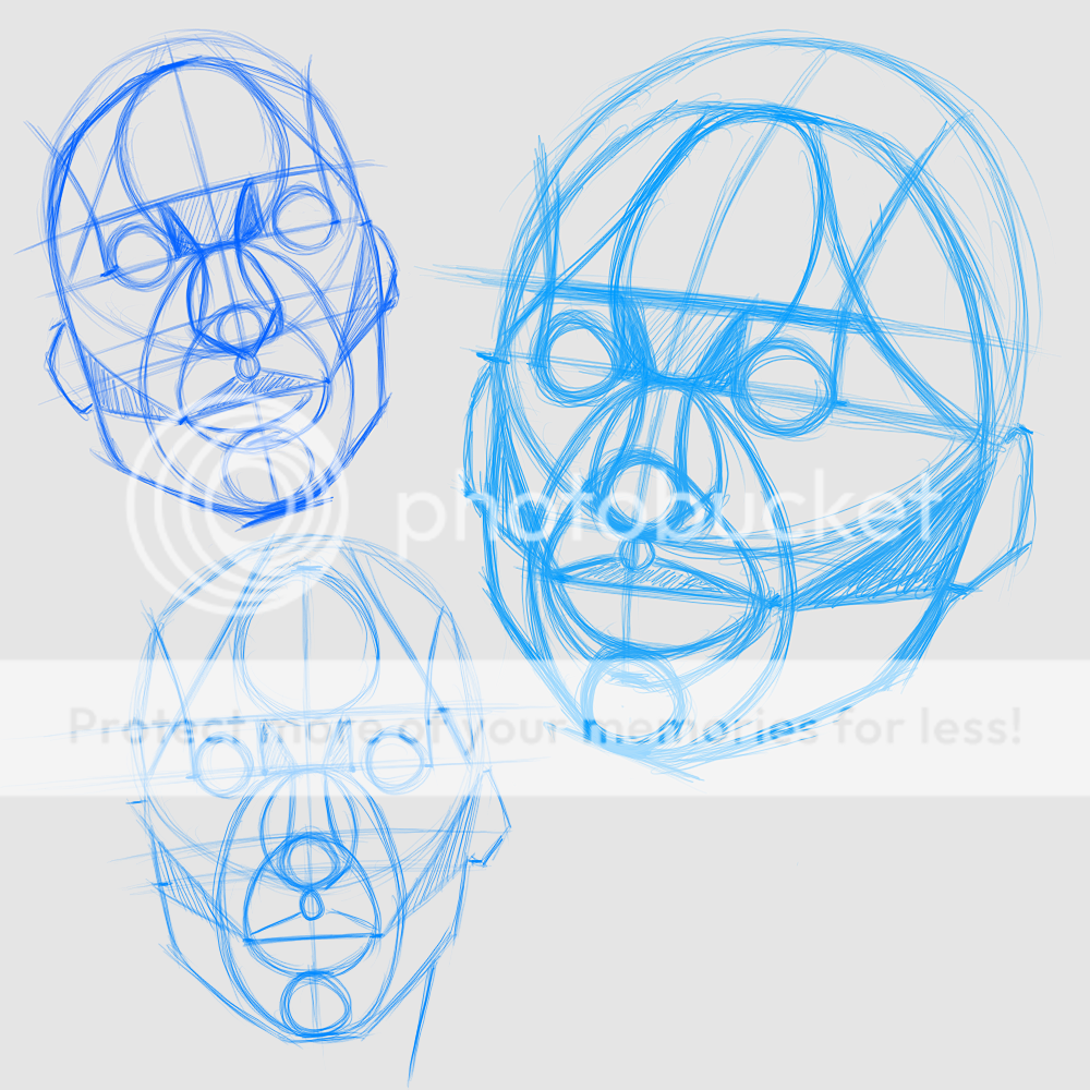 Muscle Twitches in the Biceps