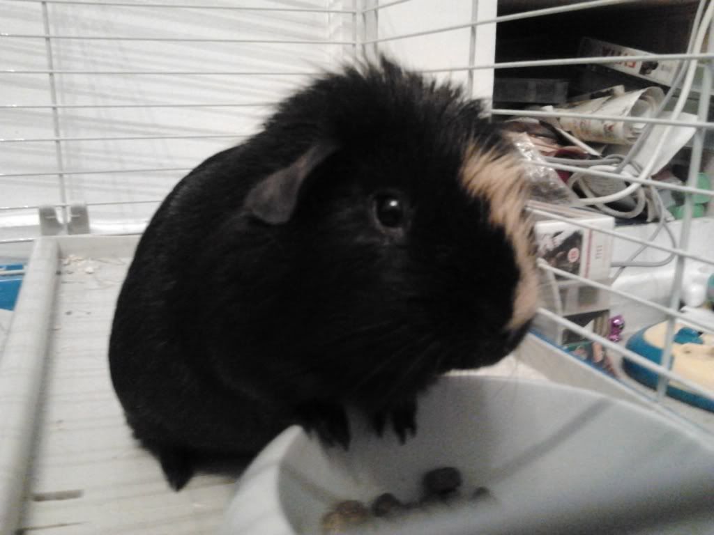 2012-02-26201355.jpg