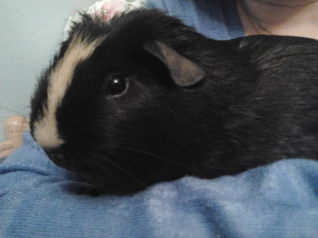 2012-03-01185816.jpg