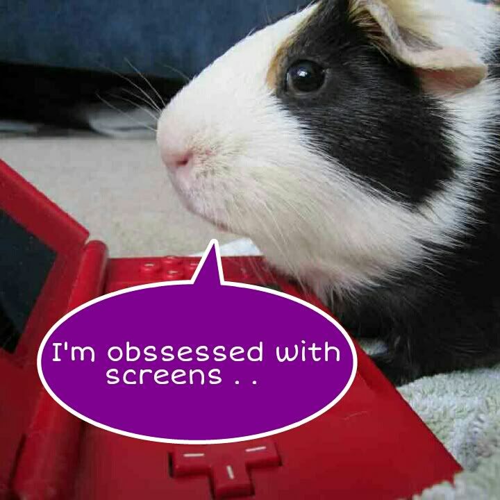 PicsArt_1348262832176_zps36033f5e.jpg