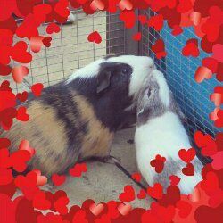 wpid-picsart_1359068533488.jpg