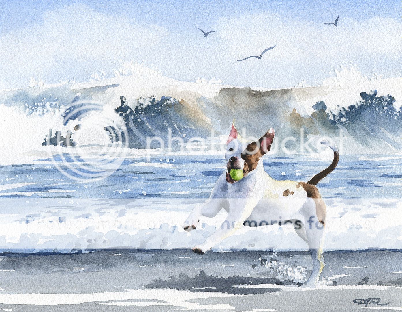 PIT BULL AT THE BEACH Watercolor ART NOTE CARDS by Artist DJR