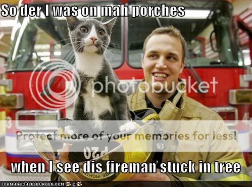 funny-pictures-cat-rescues-fireman-.jpg