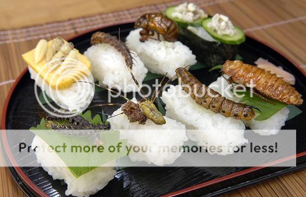 sushi-platter_1121470i.jpg
