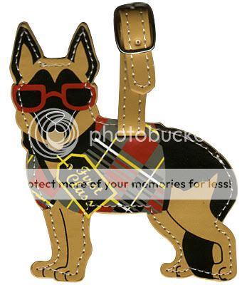 Dog Pet Luggage Bag Travel Crate Carrier ID Address Tag  