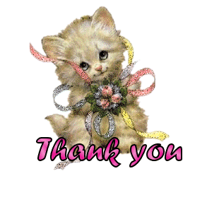 THANKYOUCAT.gif