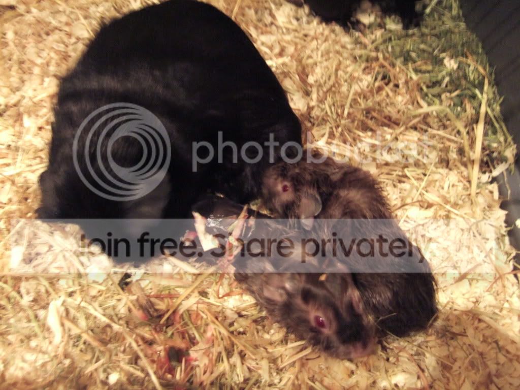 DSCF8858.jpg