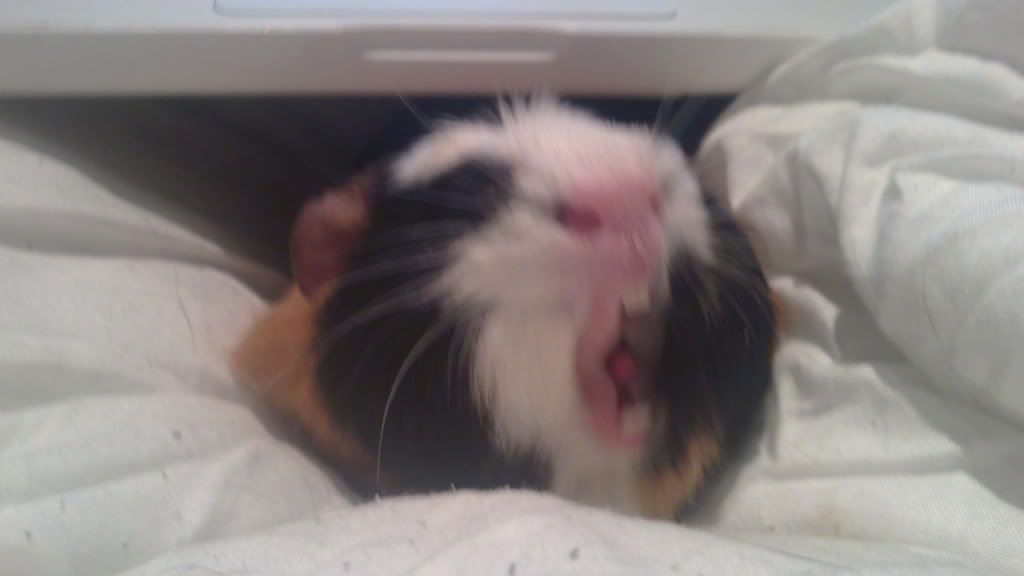 01032011165.jpg