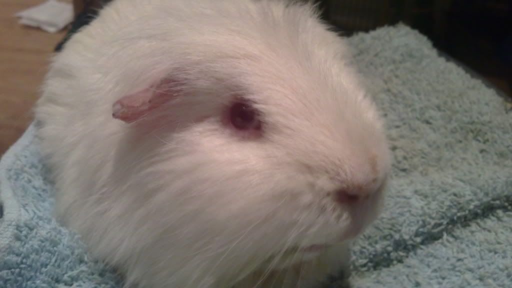 08012011057.jpg