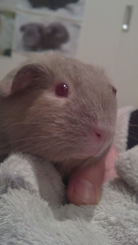 09112010289.jpg