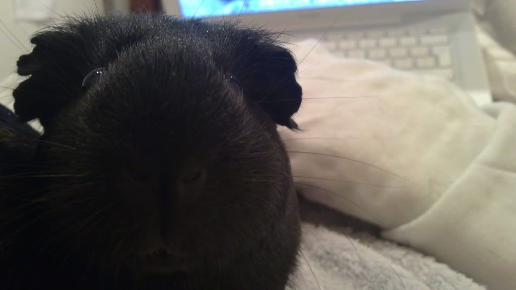 18102010134.jpg