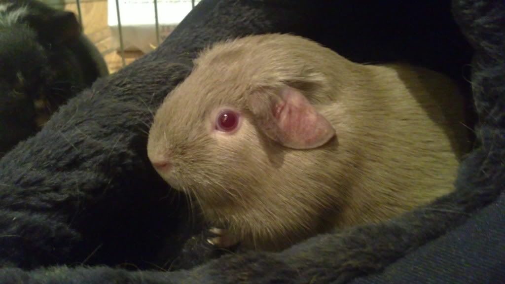 26102010180.jpg