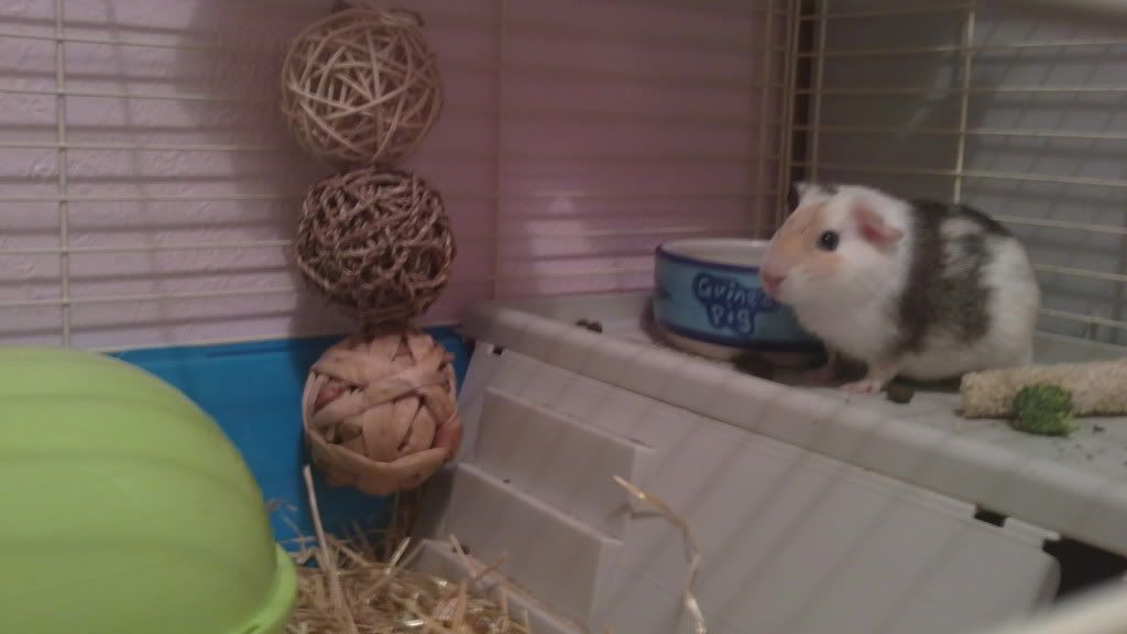 27122010010.jpg