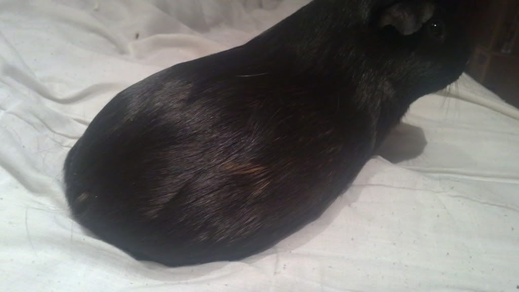 29112010368-1.jpg