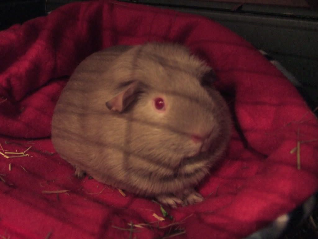 DSCF9067.jpg