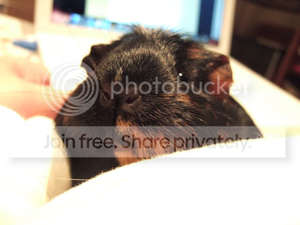 DSCF9103.jpg