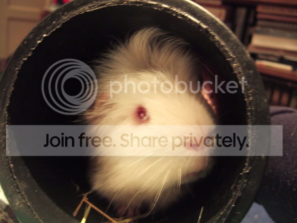 DSCF9154.jpg