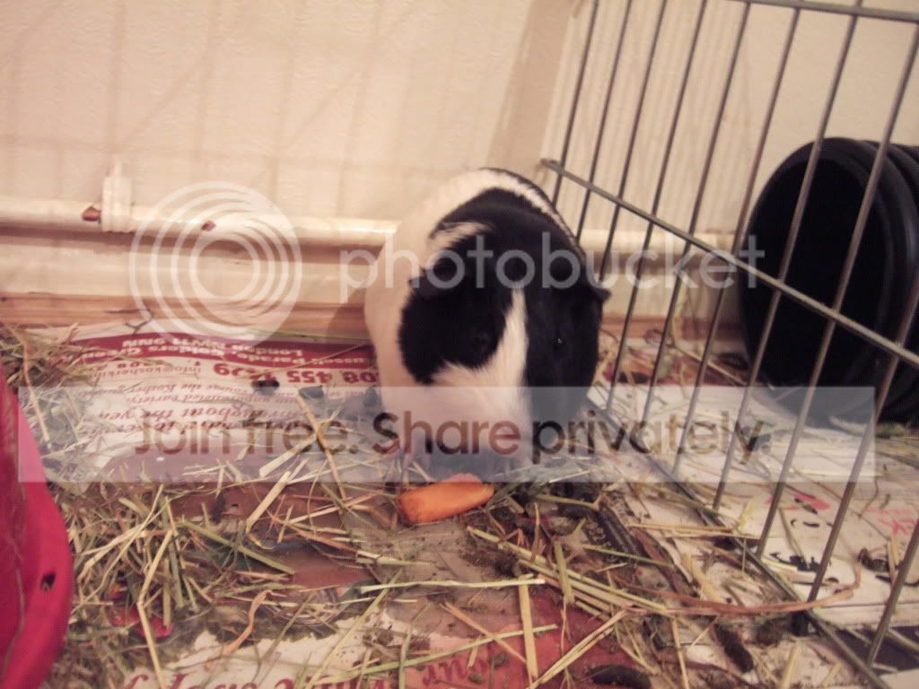 DSCF9165.jpg